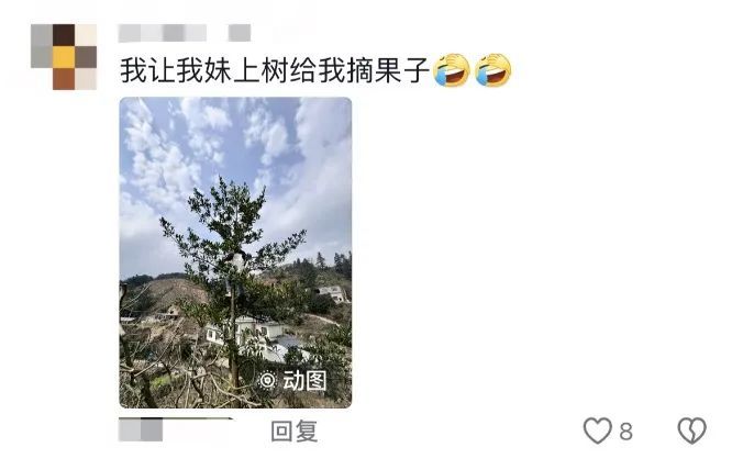 “弟弟就是最好的旅游搭子！不抱怨，还会说姐姐是我最好的朋友……”