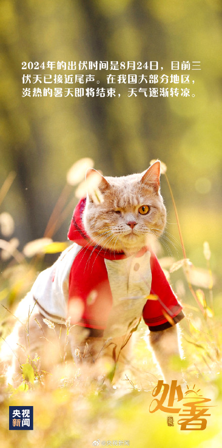 今日22时55分处暑 你感受到秋意了吗？