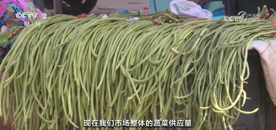 多地全力采取稳价保供措施 菜价预计9月中下旬将回落至正常水平 多地全力采取稳价保供措施 菜价预计9月中下旬将回落至正常水平