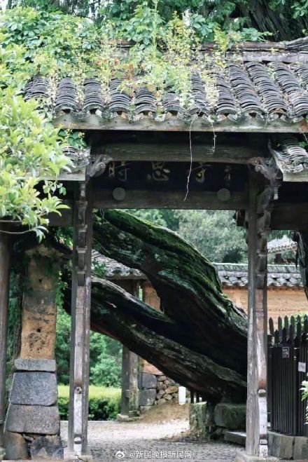 《黑神话：悟空》长三角取景地旅游攻略来了！列位“天命人” 速去“取经”