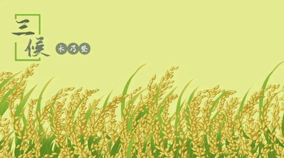 二十四节气之处暑：暑云散尽，秋韵渐盛