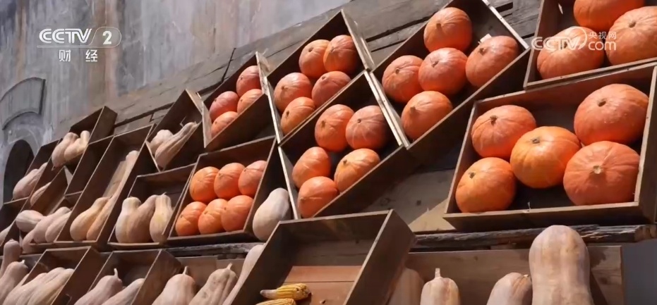 多地“硕果累累”绘就和美乡村好“丰”景 端牢“中国饭碗”底气足 多地“硕果累累”绘就和美乡村好“丰”景 端牢“中国饭碗”底气足