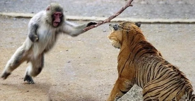 打不过游戏BOSS买“外挂”，游戏修改器靠谱吗？