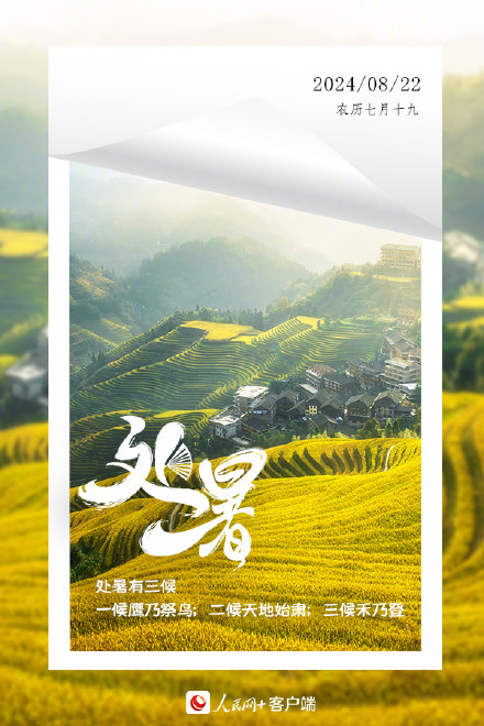 今日处暑，转发迎接秋天
