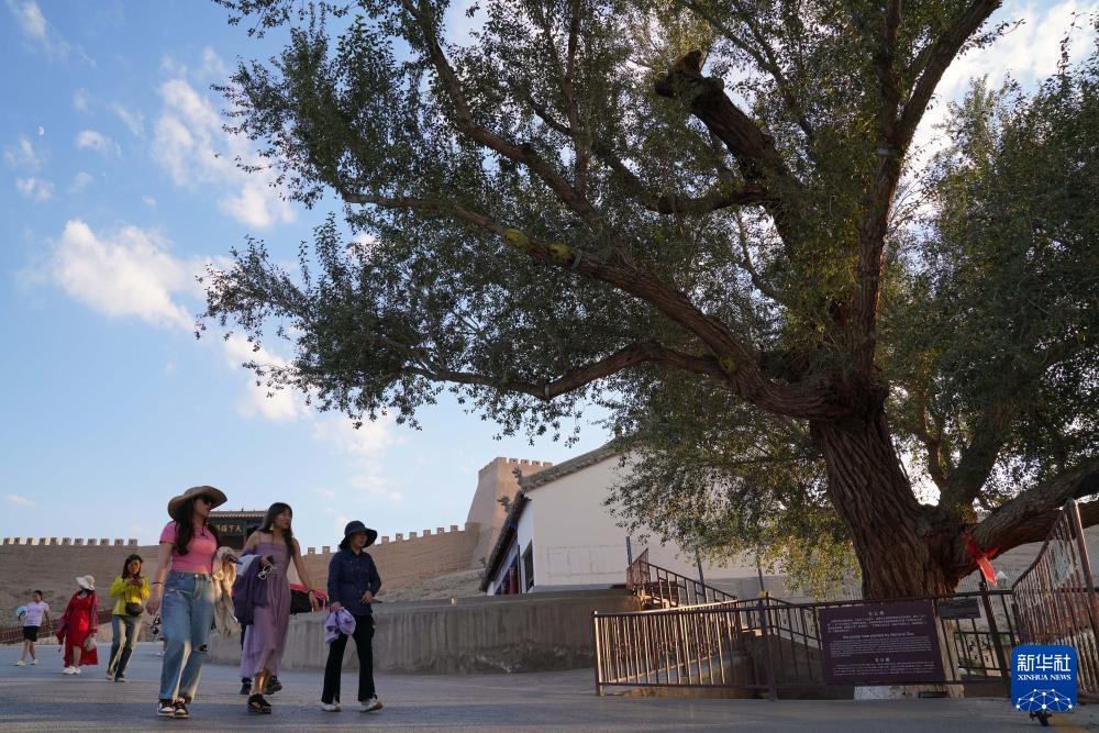 长城高与白云齐,一蹑危楼万堞低 长城高与白云齐,一蹑危楼万堞低