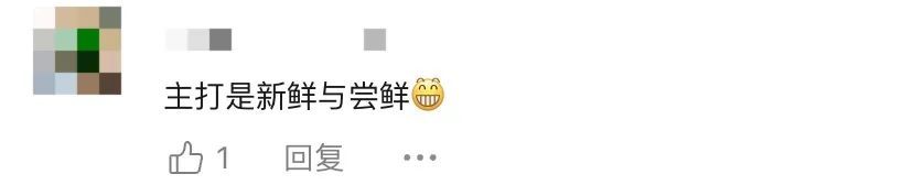 “弟弟就是最好的旅游搭子！不抱怨，还会说姐姐是我最好的朋友……”