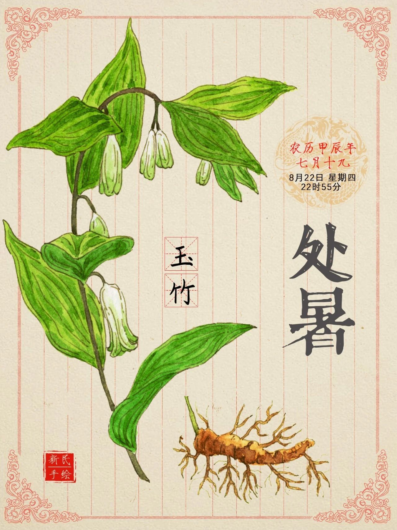 处暑 | “秋老虎”活跃！日常饮食加一味宝藏植物，去暑热，防秋燥