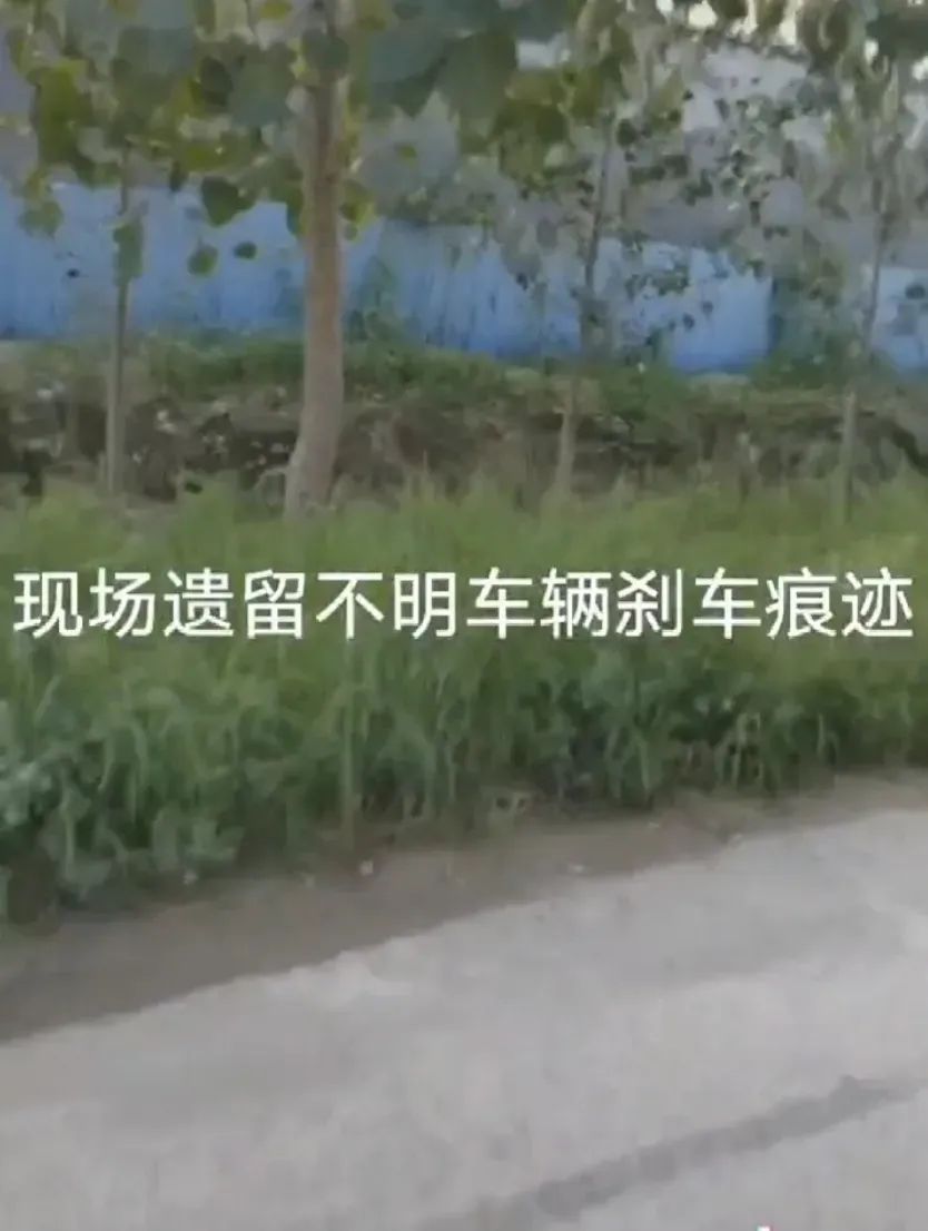 父亲车祸身亡，肇事者疑逃逸，一女子悬赏10万元征集线索