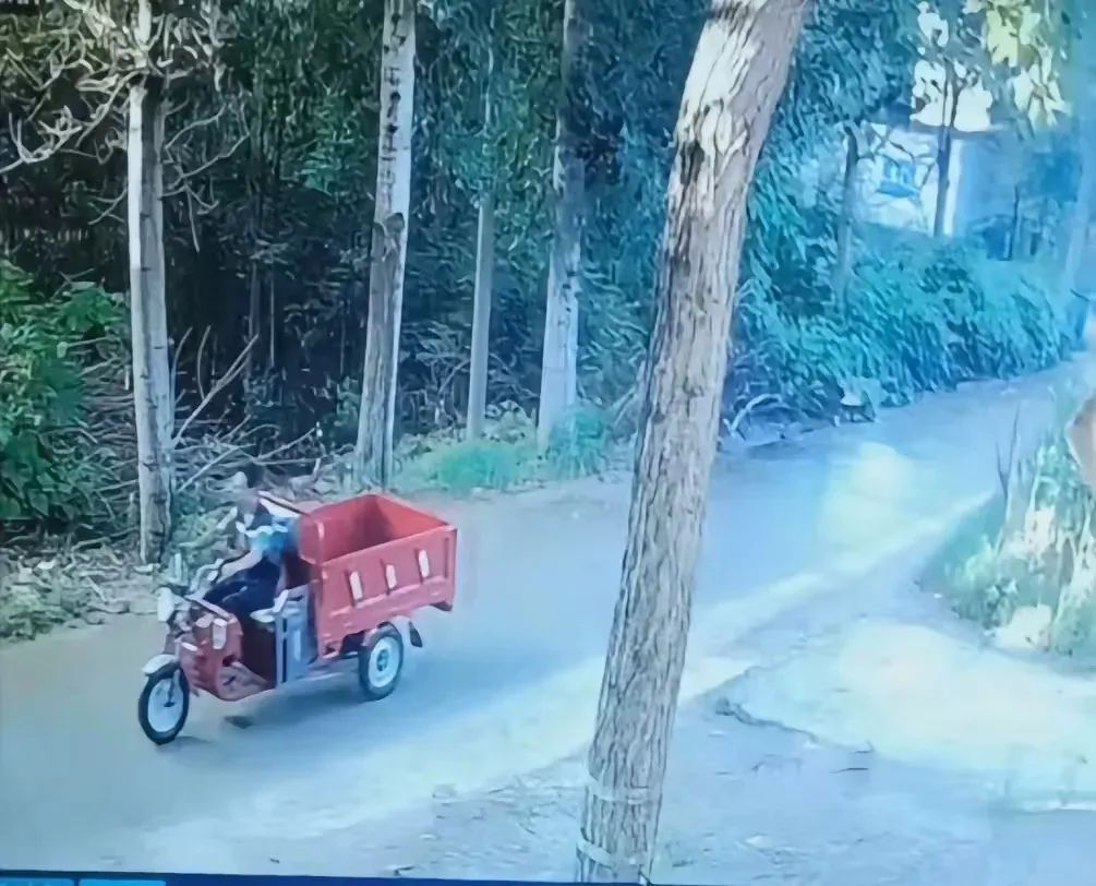 父亲车祸身亡，肇事者疑逃逸，一女子悬赏10万元征集线索