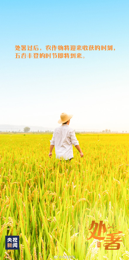 今日22时55分处暑 你感受到秋意了吗？