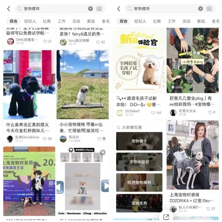 时薪500元,最多时一个月赚了3万,不少人当上了“啃狗族”! 时薪500元,最多时一个月赚了3万,不少人当上了“啃狗族”!