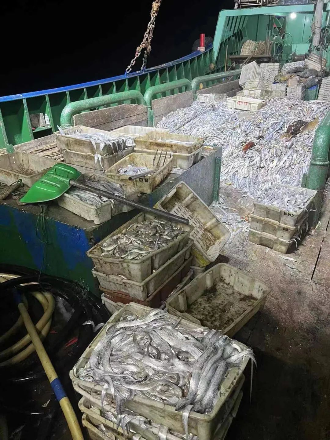 禁止!浙江一夜间13人落网,当场查扣7万公斤 禁止!浙江一夜间13人落网,当场查扣7万公斤