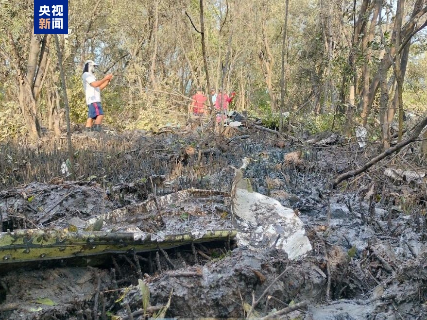 飞机坠毁，5名中国籍乘客遇难！部分相关产品下架，更多细节披露→