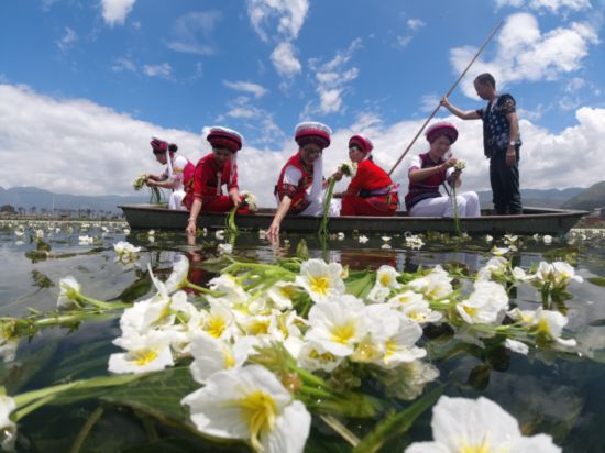 高质量发展调研行|大理洱源,守护洱海之源 高质量发展调研行|大理洱源,守护洱海之源