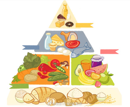 儿童的合理膳食应该包含什么? 儿童的合理膳食应该包含什么?