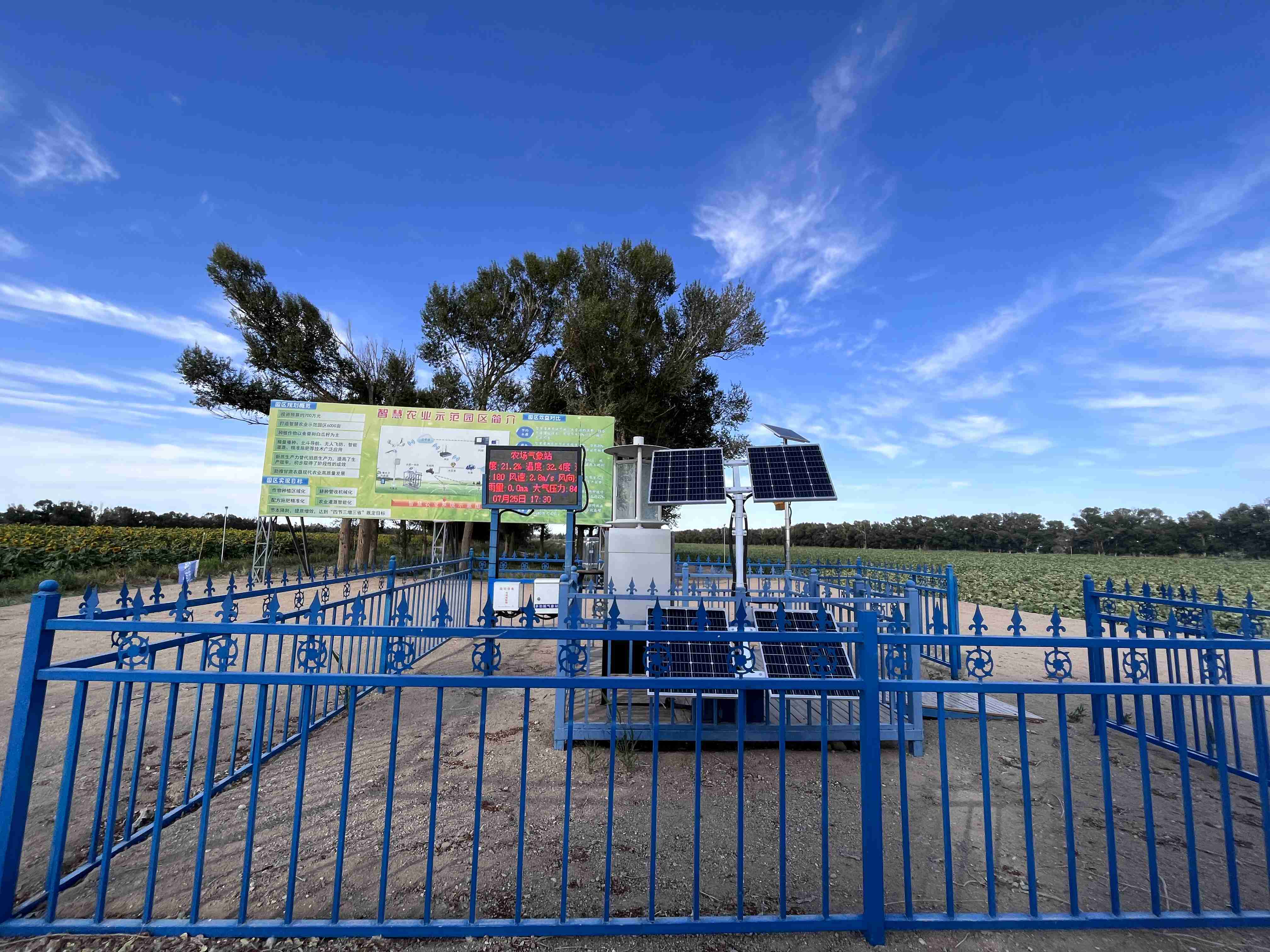 作物“喝”得饱还节水 甘肃这个农场“慧”种田 作物“喝”得饱还节水 甘肃这个农场“慧”种田