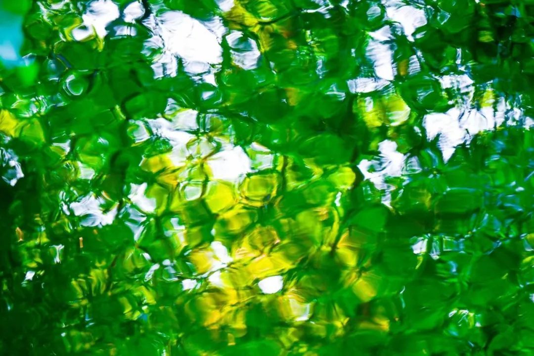 葫芦岛极端强降雨评估为特强等级，1951年以来该地第一位！今天午后还有暴雨…