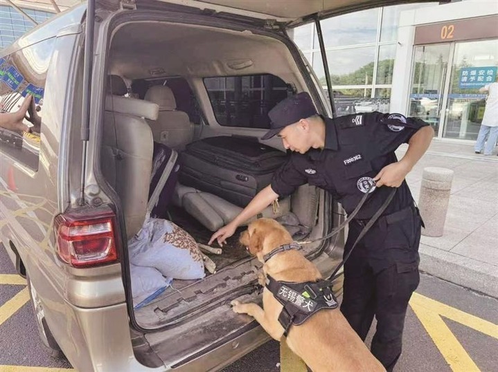 无锡"汪汪队"藏龙卧虎 4只警犬被公安部授勋 全省团体考核名列前茅 无锡"汪汪队"藏龙卧虎 4只警犬被公安部授勋 全省团体考核名列前茅