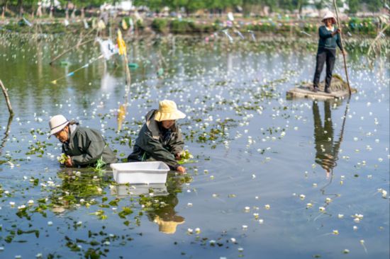 高质量发展调研行|大理洱源,守护洱海之源 高质量发展调研行|大理洱源,守护洱海之源