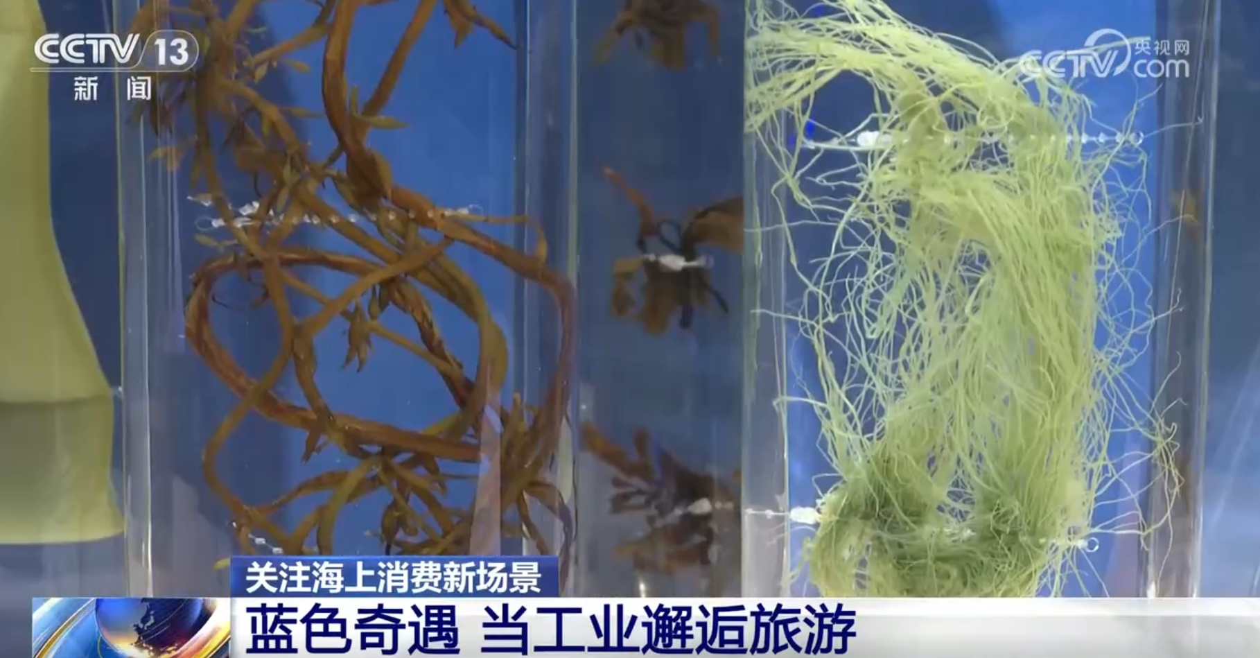 “蓝色文旅”动能澎湃 海上消费新场景、新业态解锁夏日新体验 “蓝色文旅”动能澎湃 海上消费新场景、新业态解锁夏日新体验