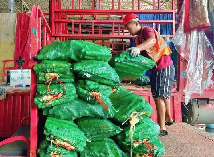 沪上部分蔬菜批发价格已回落，零售价回落还会远吗？