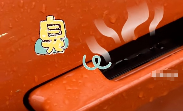 滂臭！女子雨天打开车门差点熏吐了，还有人吐槽……