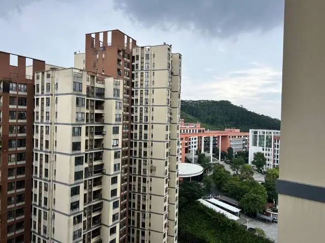 广东也有自己的“鹤岗”了？15.5万两房两厅，记者实探→