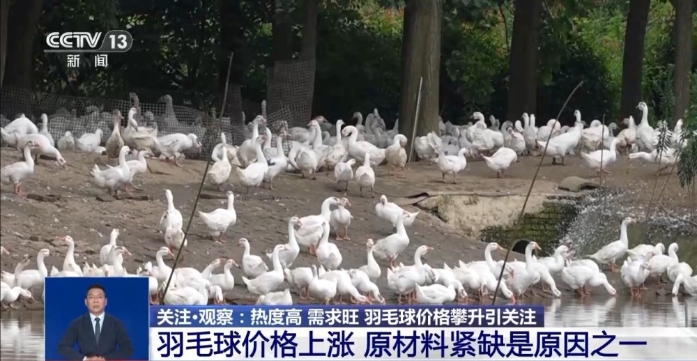 这项运动热度飙升 参与人数高达2.5亿！为何供不应“球”？