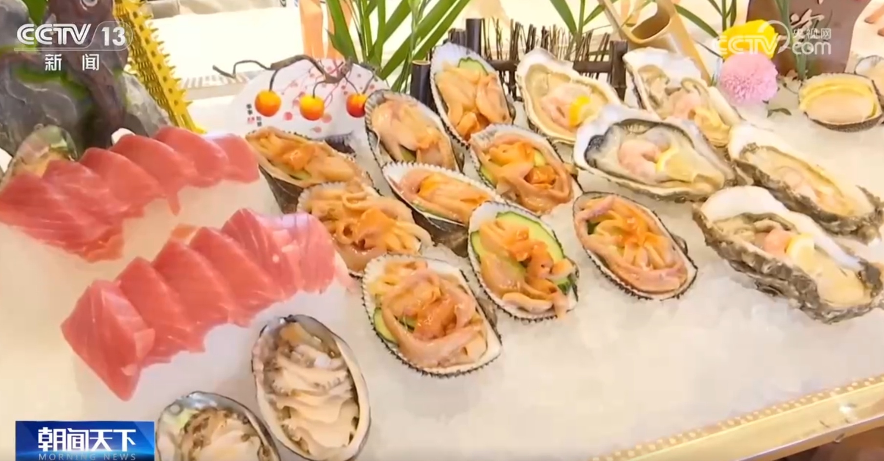 “蓝色文旅”动能澎湃 海上消费新场景、新业态解锁夏日新体验 “蓝色文旅”动能澎湃 海上消费新场景、新业态解锁夏日新体验