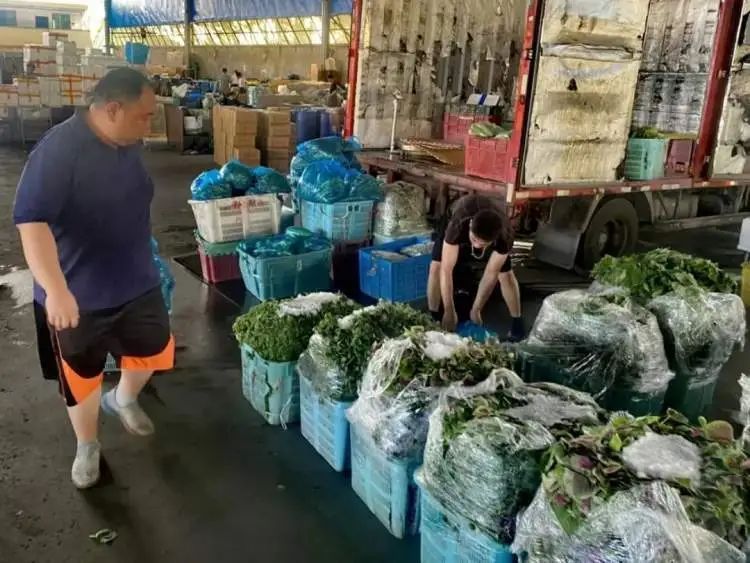 沪上部分蔬菜批发价格已回落，零售价回落还会远吗？