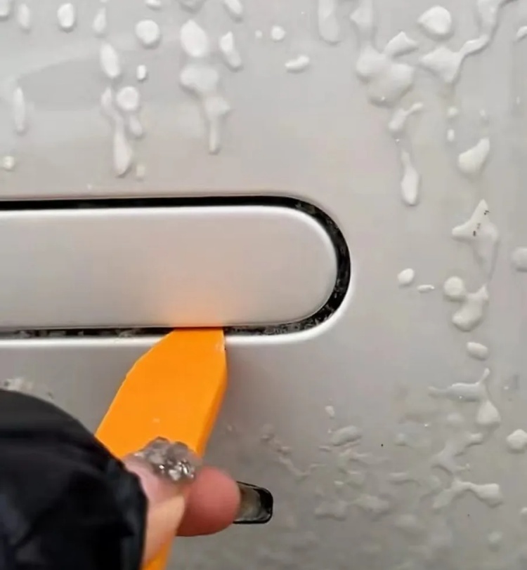 滂臭！女子雨天打开车门差点熏吐了，还有人吐槽……