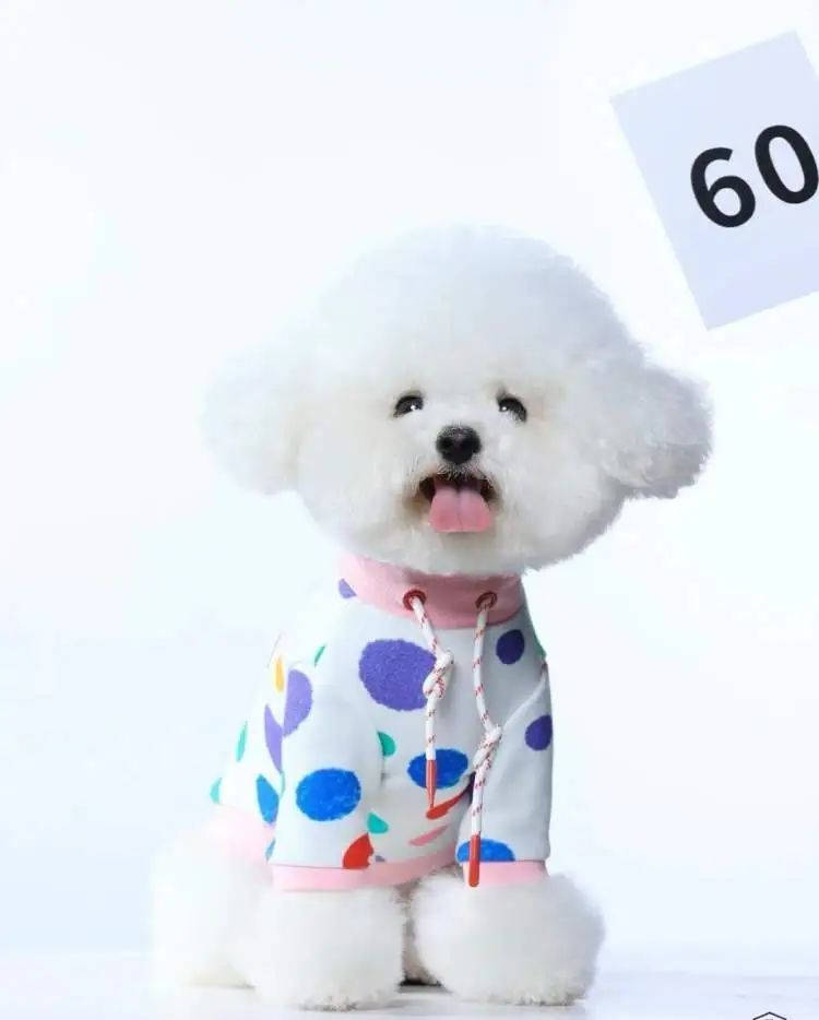 时薪500元,最多时一个月赚了3万,不少人当上了“啃狗族”! 时薪500元,最多时一个月赚了3万,不少人当上了“啃狗族”!