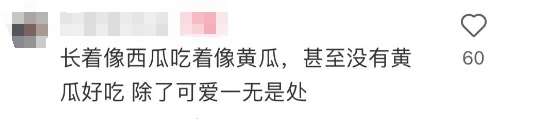 突然火了,约100元一斤!有人表示“这味儿难评”?专家:营养价值一般 突然火了,约100元一斤!有人表示“这味儿难评”?专家:营养价值一般