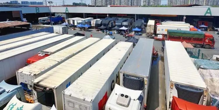 沪上部分蔬菜批发价格已回落，零售价回落还会远吗？