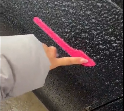 滂臭！女子雨天打开车门差点熏吐了，还有人吐槽……