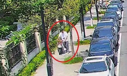 “看到满大街的警车我很慌！实在顶不住压力就来自首了”