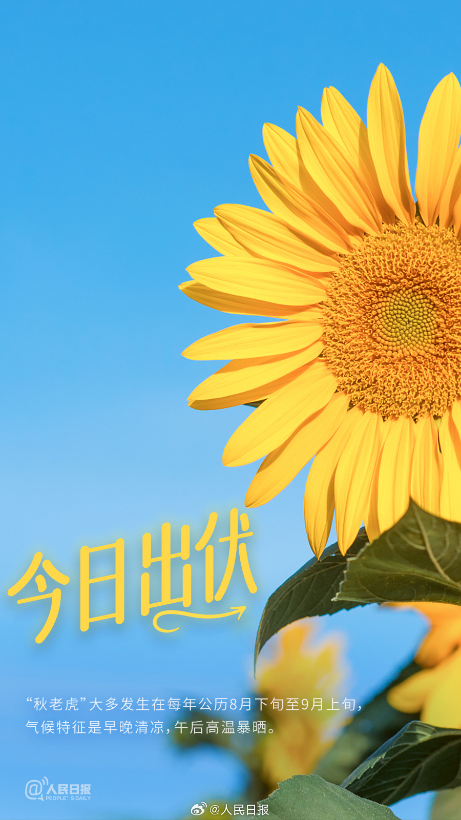 超长三伏天正式下线，你感受到秋天了吗？