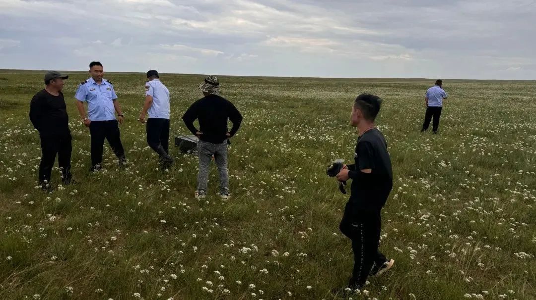 非法采摘沙葱、韭菜花、野蘑菇！内蒙古多人被查处！