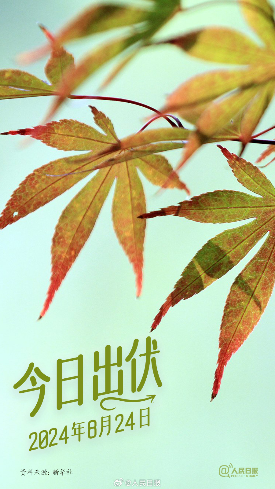 超长三伏天正式下线，你感受到秋天了吗？