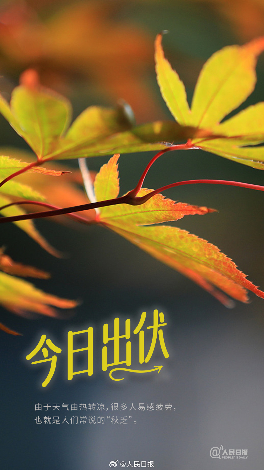 超长三伏天正式下线，你感受到秋天了吗？