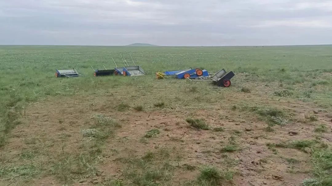 非法采摘沙葱、韭菜花、野蘑菇！内蒙古多人被查处！