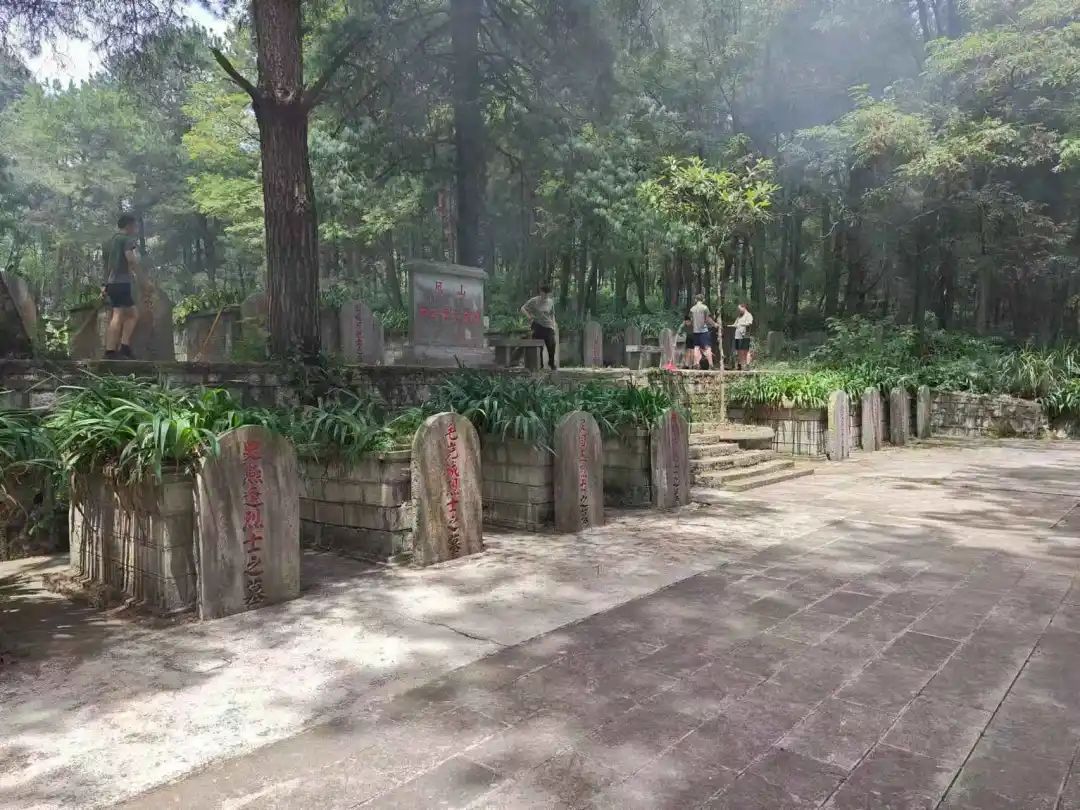 贵阳一烈士陵园杂草丛生？相关部门回应：今后会定期巡查和维护