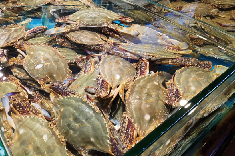 台州人，螃蟹和它不能一起吃！有人吃进医院了