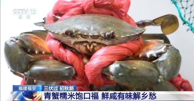 脆甜的菱角、Q弹的鸡头米……出伏解秋燥可以这样吃