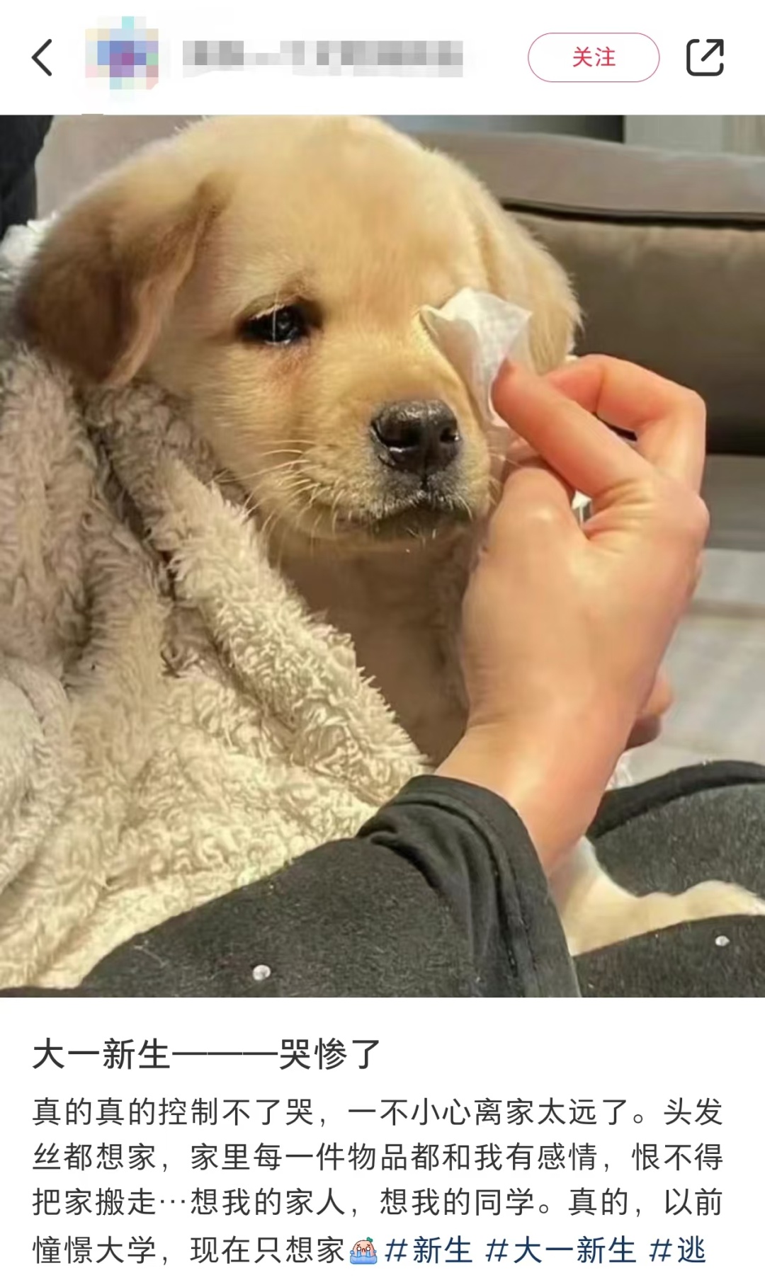 “到了新学校，我也想交新朋友，但是……”