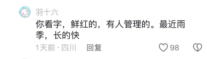 贵阳一烈士陵园杂草丛生？相关部门回应：今后会定期巡查和维护