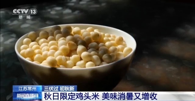 脆甜的菱角、Q弹的鸡头米……出伏解秋燥可以这样吃