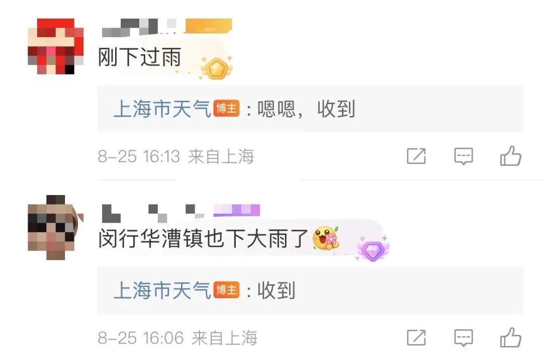 这伏出了又好像没出…网友崩溃:上海的夏天热到记入史册...
