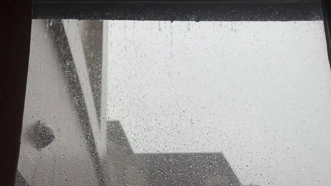 最新 | 天津启动防洪四级应急响应!四大预警齐发!这些道路封控...... 最新 | 天津启动防洪四级应急响应!四大预警齐发!这些道路封控......