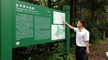 云南普洱景迈山：全球首个茶主题世界文化遗产